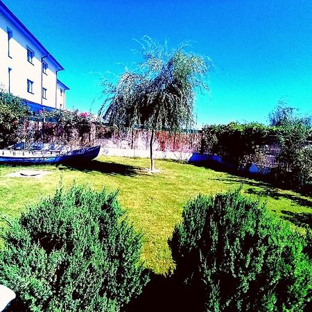 Hotel Pensiunea Prigoria à Murighiol Extérieur photo