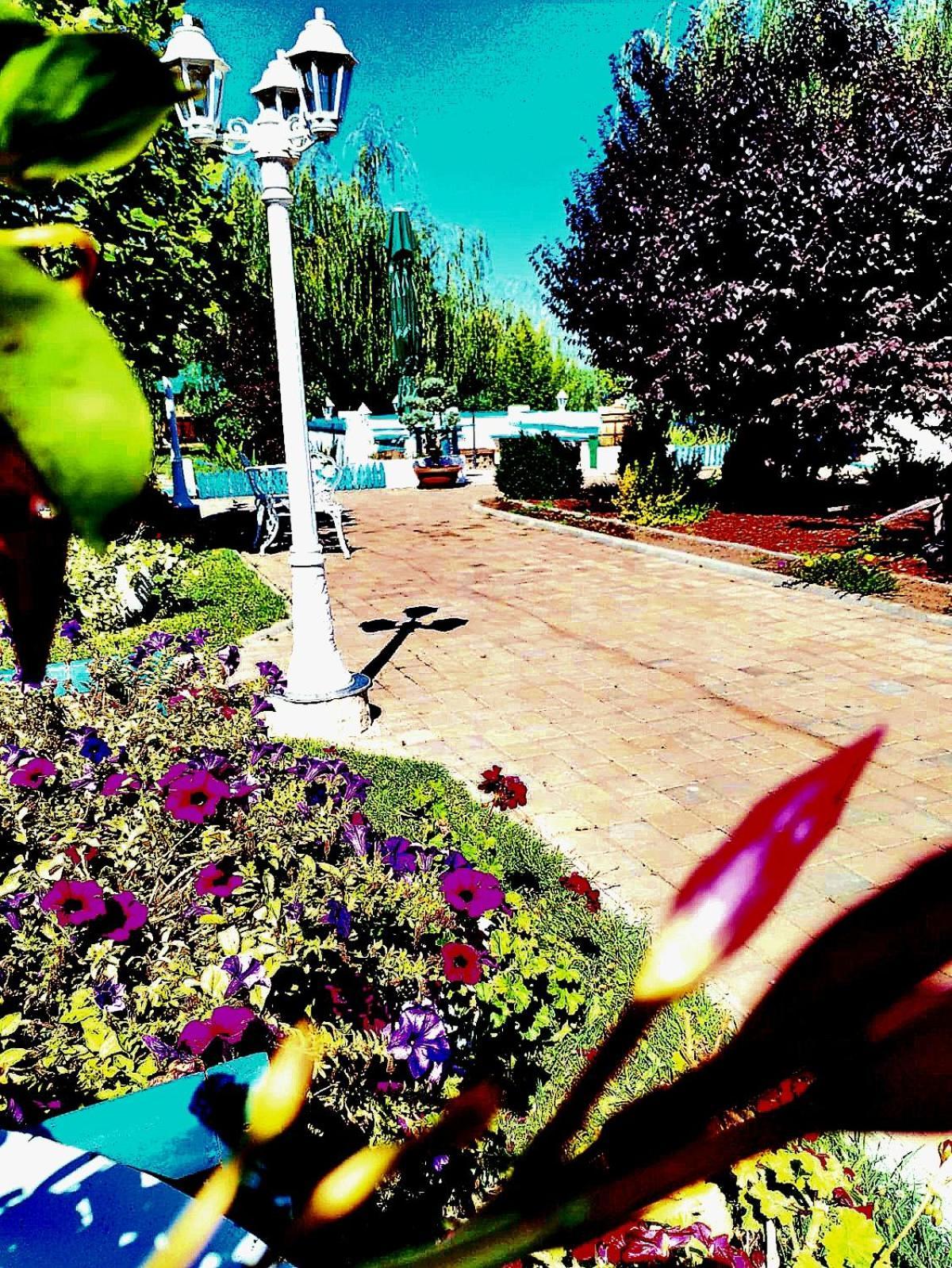 Hotel Pensiunea Prigoria à Murighiol Extérieur photo